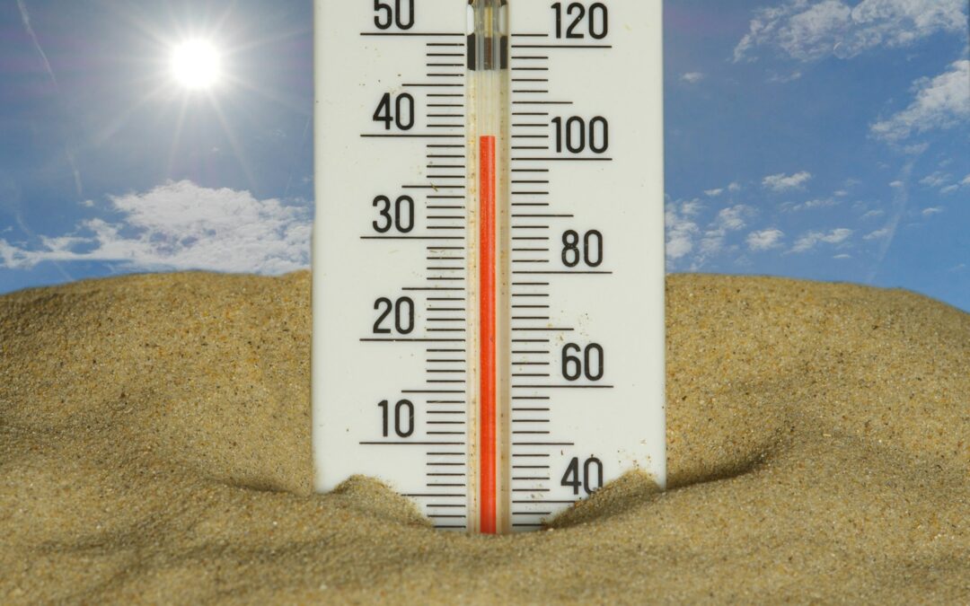 Alerte Canicule – Mesures de prévention et conseils à suivre